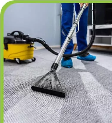 Carpet Cleaning Morayfield Services