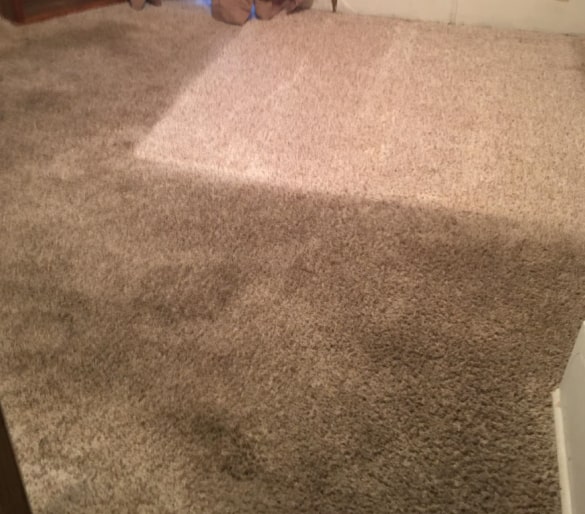 Why Choose Us For Carpet Cleaning